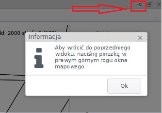 Widok okna z informacją o położeniu pinezki z zaznaczonym czerwoną strzałką miejscem jej położenia